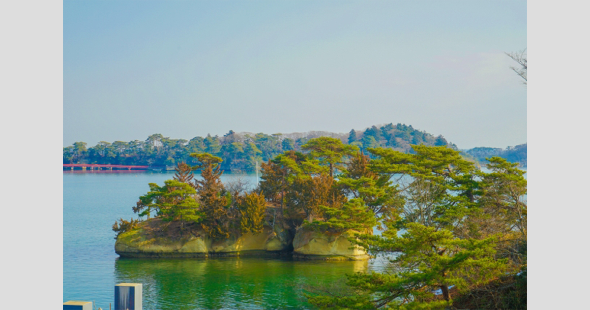 Pine Tree No.3 Matsushima Islands｜Spring Machine Manufacturer｜SHINKO